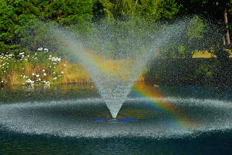 Fountain and Rainbow